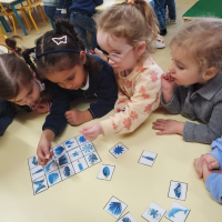 b9066745-b67c-4c60-b778-07156b56735b